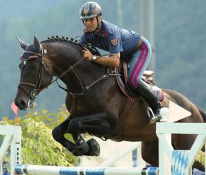 Amerigo Siena Dressage (1)